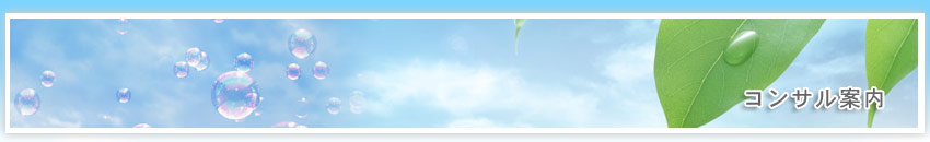 コンサル案内